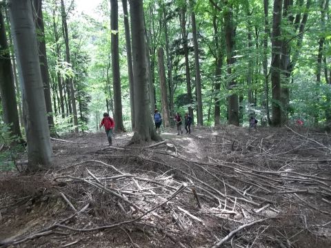 Wycieczka w Góry Bystrzyckie s62 - PTTK Strzelin