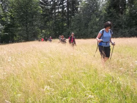 Wycieczka w Góry Bystrzyckie s63 - PTTK Strzelin