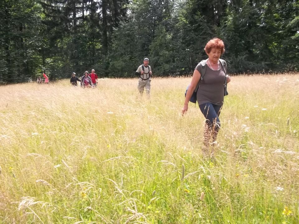 Wycieczka w Góry Bystrzyckie s002 - PTTK Strzelin