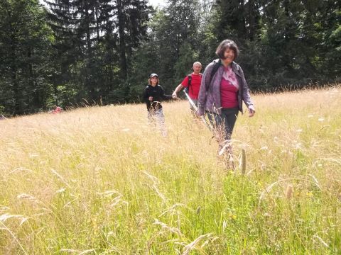 Wycieczka w Góry Bystrzyckie s65 - PTTK Strzelin