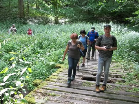 Wycieczka w Góry Bystrzyckie s83 - PTTK Strzelin
