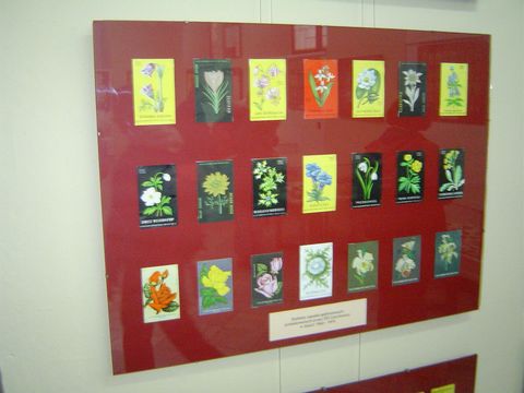 Bystrzyca K�odzka - Muzeum Filumenistyczne