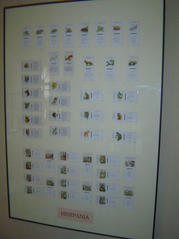 Bystrzyca K�odzka - Muzeum Filumenistyczne