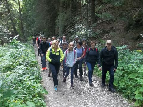 Wycieczka Hrubý Jeseník s1 - PTTK Strzelin