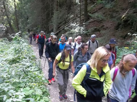 Wycieczka Hrubý Jeseník s2 - PTTK Strzelin