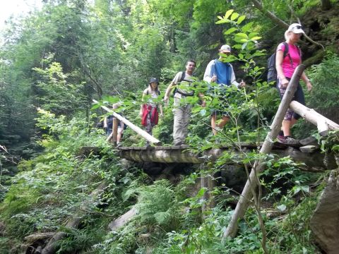 Wycieczka Hrubý Jeseník s40 - PTTK Strzelin