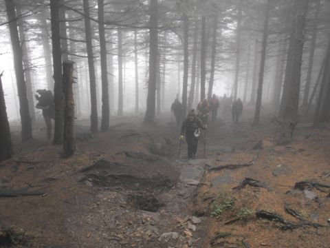 Wycieczka Hrubý Jeseník s43 - PTTK Strzelin