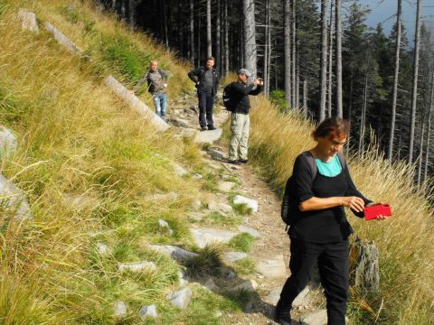 Wycieczka Hrubý Jeseník s67 - PTTK Strzelin