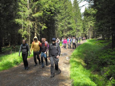 Wycieczka Hrubý Jeseník s5 - PTTK Strzelin