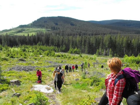 Wycieczka Hrubý Jeseník s7 - PTTK Strzelin