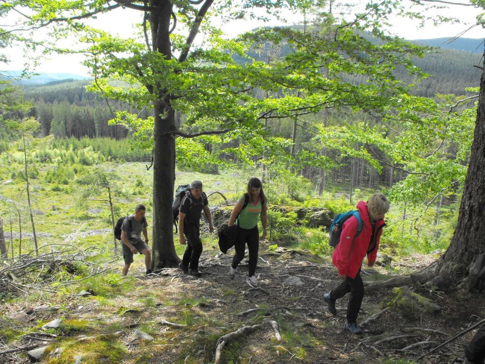 Wycieczka Hrubý Jeseník s002 - PTTK Strzelin