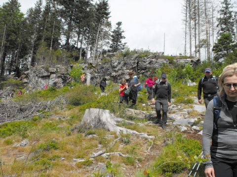 Wycieczka Hrubý Jeseník s26 - PTTK Strzelin