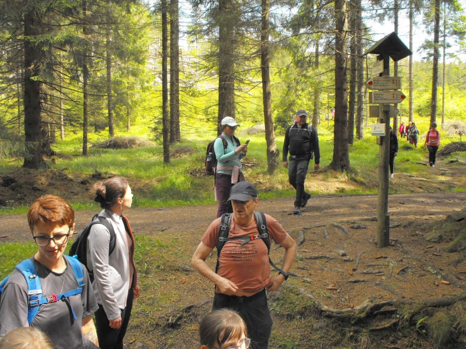 Wycieczka Hrubý Jeseník s002 - PTTK Strzelin