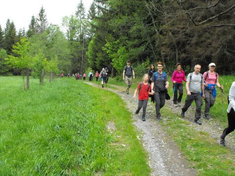 Wycieczka Hrubý Jeseník s33 - PTTK Strzelin