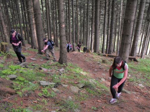 Wycieczka Hrubý Jeseník s39 - PTTK Strzelin