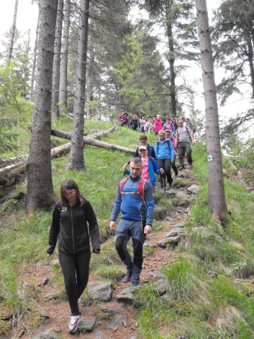 Wycieczka Hrubý Jeseník s80 - PTTK Strzelin