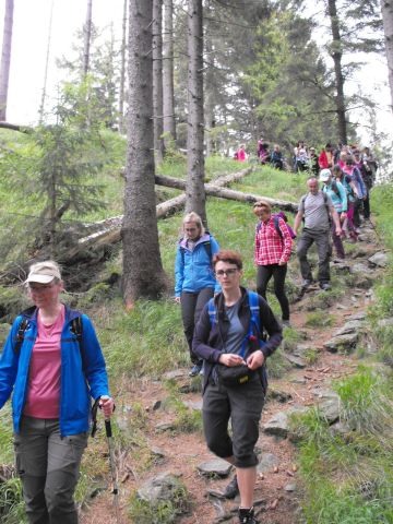 Wycieczka Hrubý Jeseník s81 - PTTK Strzelin