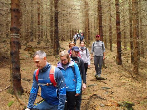 Wycieczka Hrubý Jeseník s90 - PTTK Strzelin