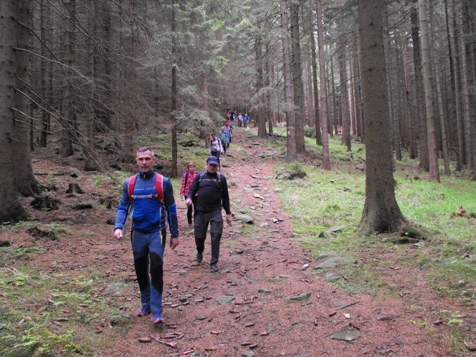 Wycieczka Hrubý Jeseník s002 - PTTK Strzelin