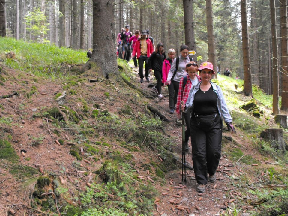 Wycieczka Hrubý Jeseník s002 - PTTK Strzelin