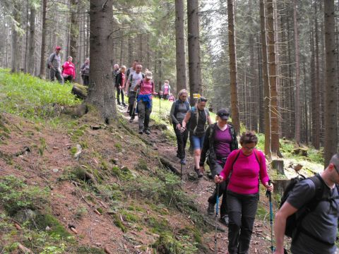 Wycieczka Hrubý Jeseník s103 - PTTK Strzelin