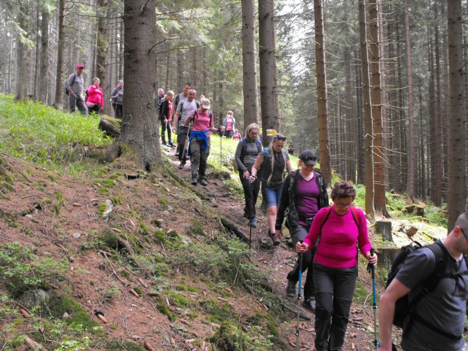 Wycieczka Hrubý Jeseník s002 - PTTK Strzelin