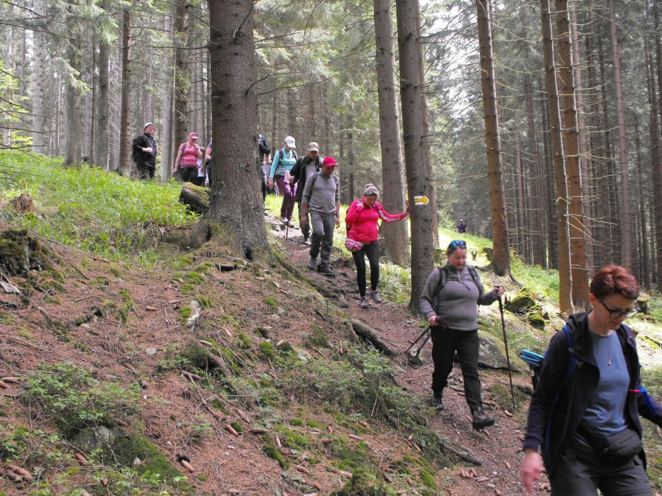 Wycieczka Hrubý Jeseník s002 - PTTK Strzelin