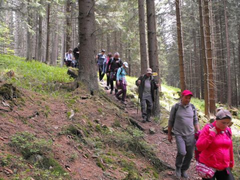 Wycieczka Hrubý Jeseník s107 - PTTK Strzelin