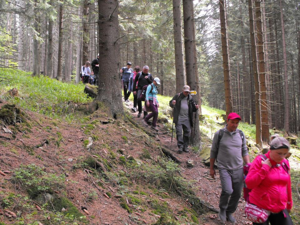 Wycieczka Hrubý Jeseník s002 - PTTK Strzelin