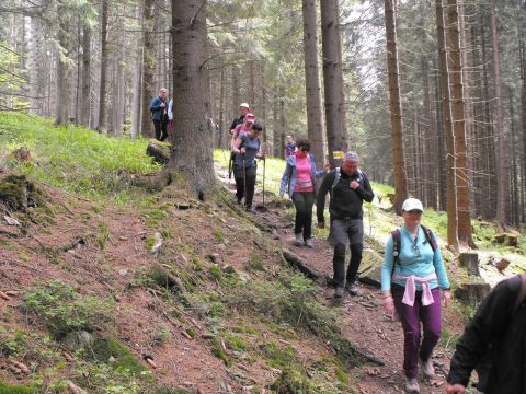 Wycieczka Hrubý Jeseník s108 - PTTK Strzelin