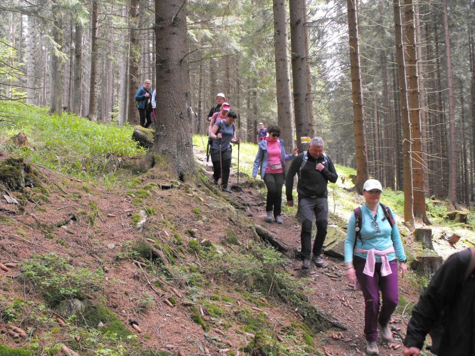Wycieczka Hrubý Jeseník s002 - PTTK Strzelin