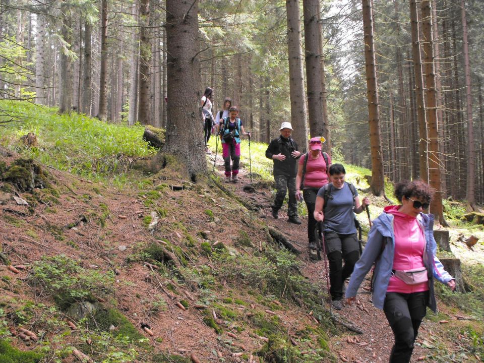 Wycieczka Hrubý Jeseník s002 - PTTK Strzelin