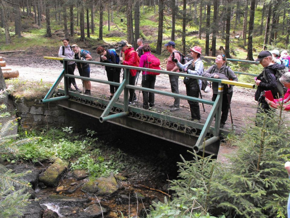 Wycieczka Hrubý Jeseník s002 - PTTK Strzelin