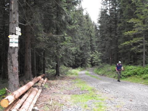 Wycieczka Hrubý Jeseník s112 - PTTK Strzelin