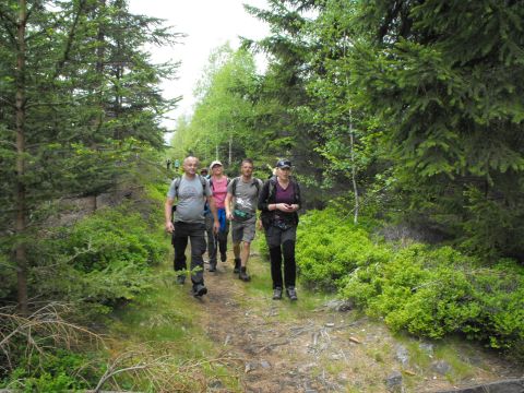 Wycieczka Hrubý Jeseník s114 - PTTK Strzelin