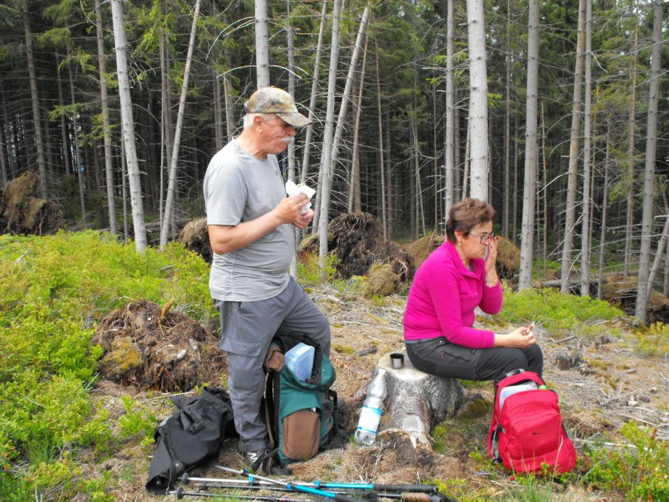 Wycieczka Hrubý Jeseník s002 - PTTK Strzelin