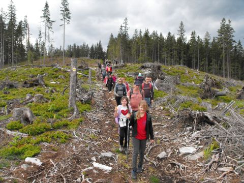 Wycieczka Hrubý Jeseník s121 - PTTK Strzelin