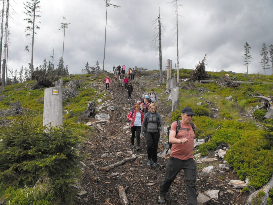 Wycieczka Hrubý Jeseník s002 - PTTK Strzelin