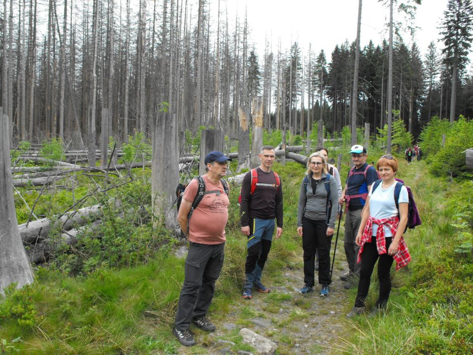 Wycieczka Hrubý Jeseník s002 - PTTK Strzelin