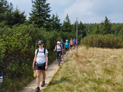 Wycieczka Hrubý Jeseník s38 - PTTK Strzelin