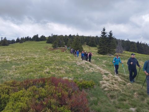 Wycieczka Hrubý Jeseník w Czechy m57 - PTTK Strzelin