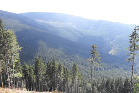 Wycieczka Hrubý Jeseník s6 - PTTK Strzelin