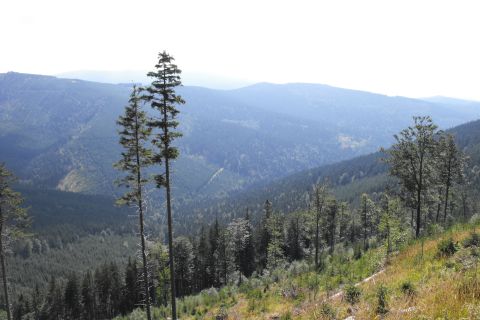 Wycieczka Hrubý Jeseník s7 - PTTK Strzelin