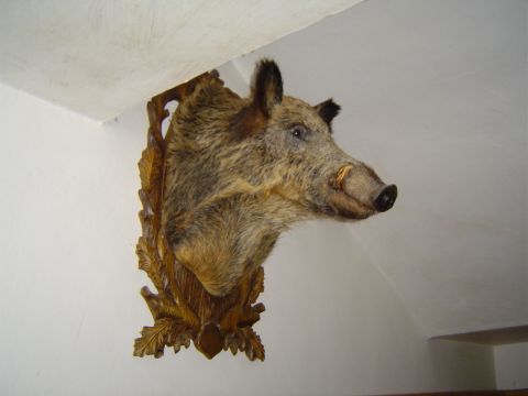 Na Skřítku s6 - PTTK Strzelin