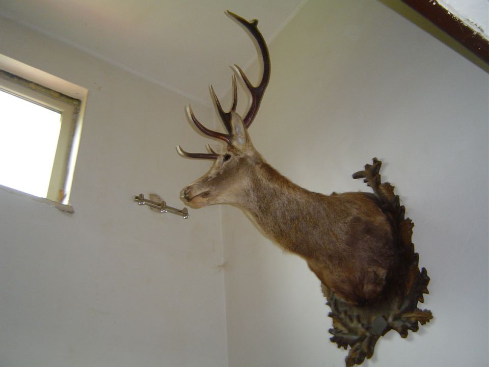 Na Skřítku Hrubý Jeseník s002 - PTTK Strzelin