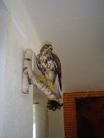 Na Skřítku s8 - PTTK Strzelin