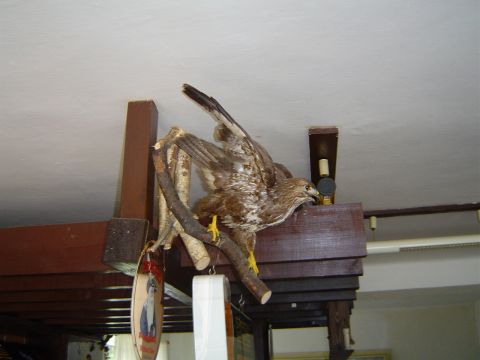 Na Skřítku s9 - PTTK Strzelin