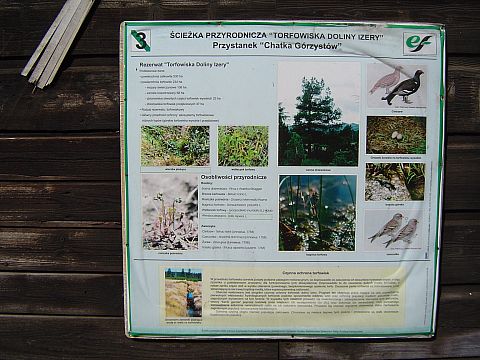 Hala Izerska - 'Chatka G�rzyst�w'