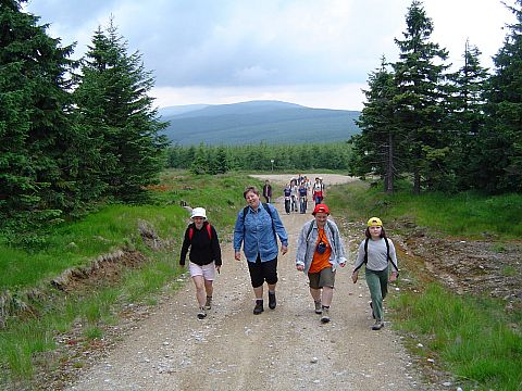 Rozdro�e pod Kop�