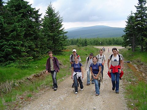 Rozdro�e pod Kop�